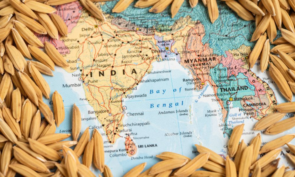 India Likely to Cut Floor Price for Basmati Rice Exports